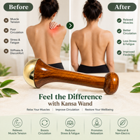 Wand for Body Massage